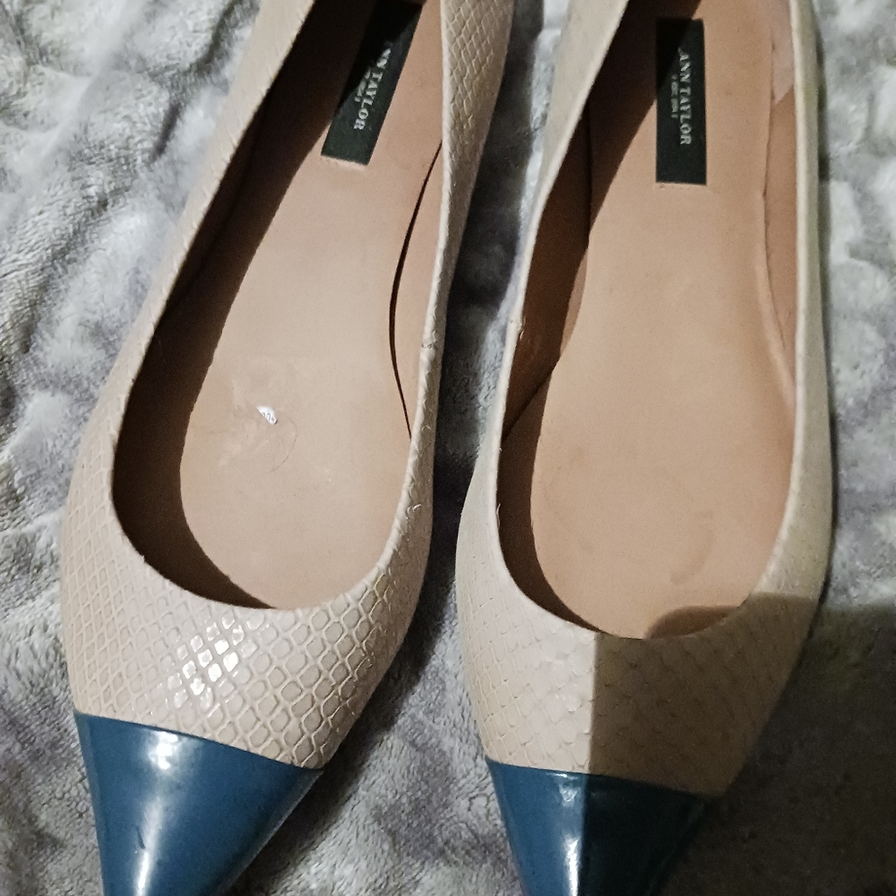 New,Ann Taylor flats